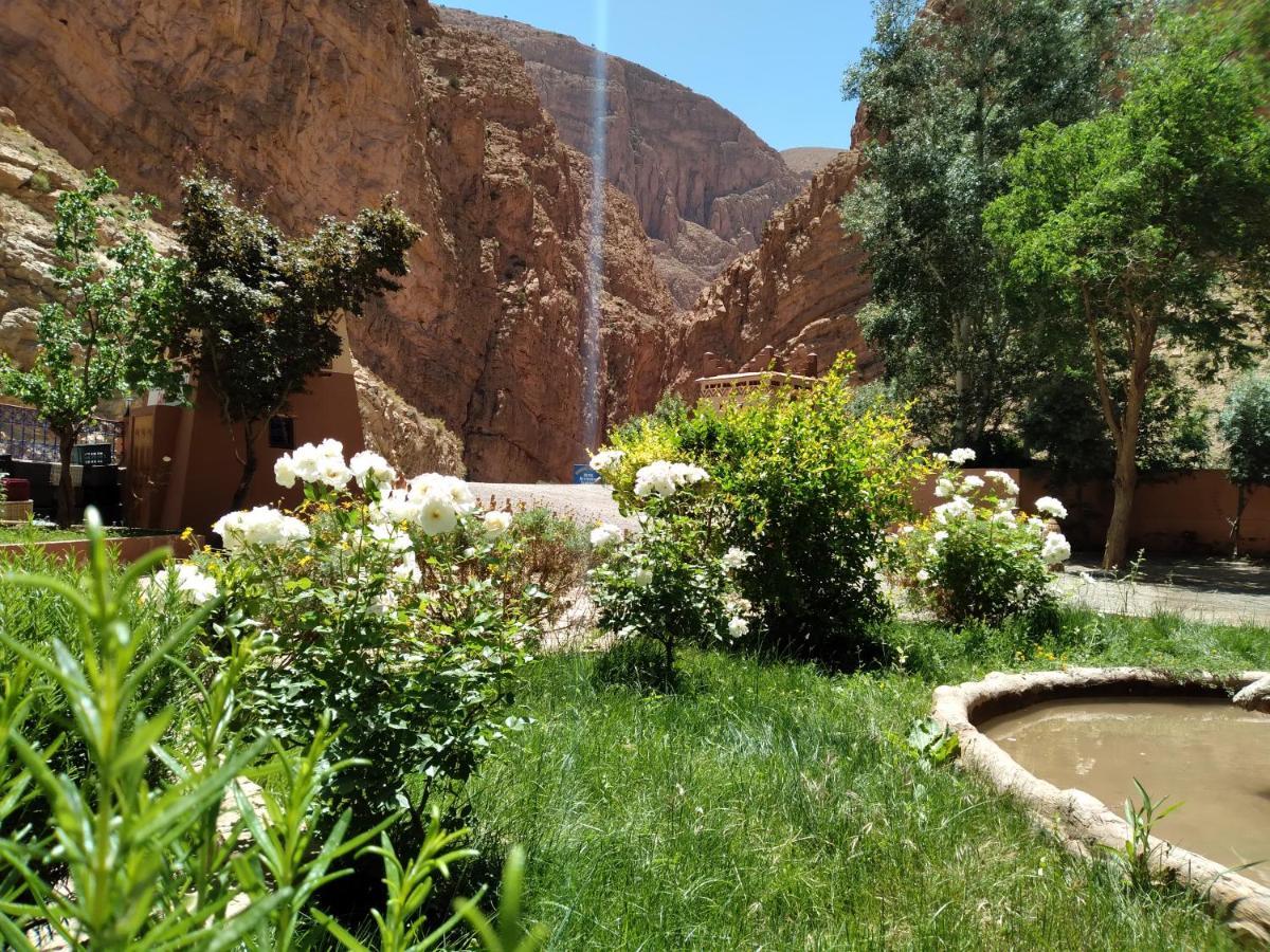 Berbere De La Montagne Hotel Imdiazene المظهر الخارجي الصورة